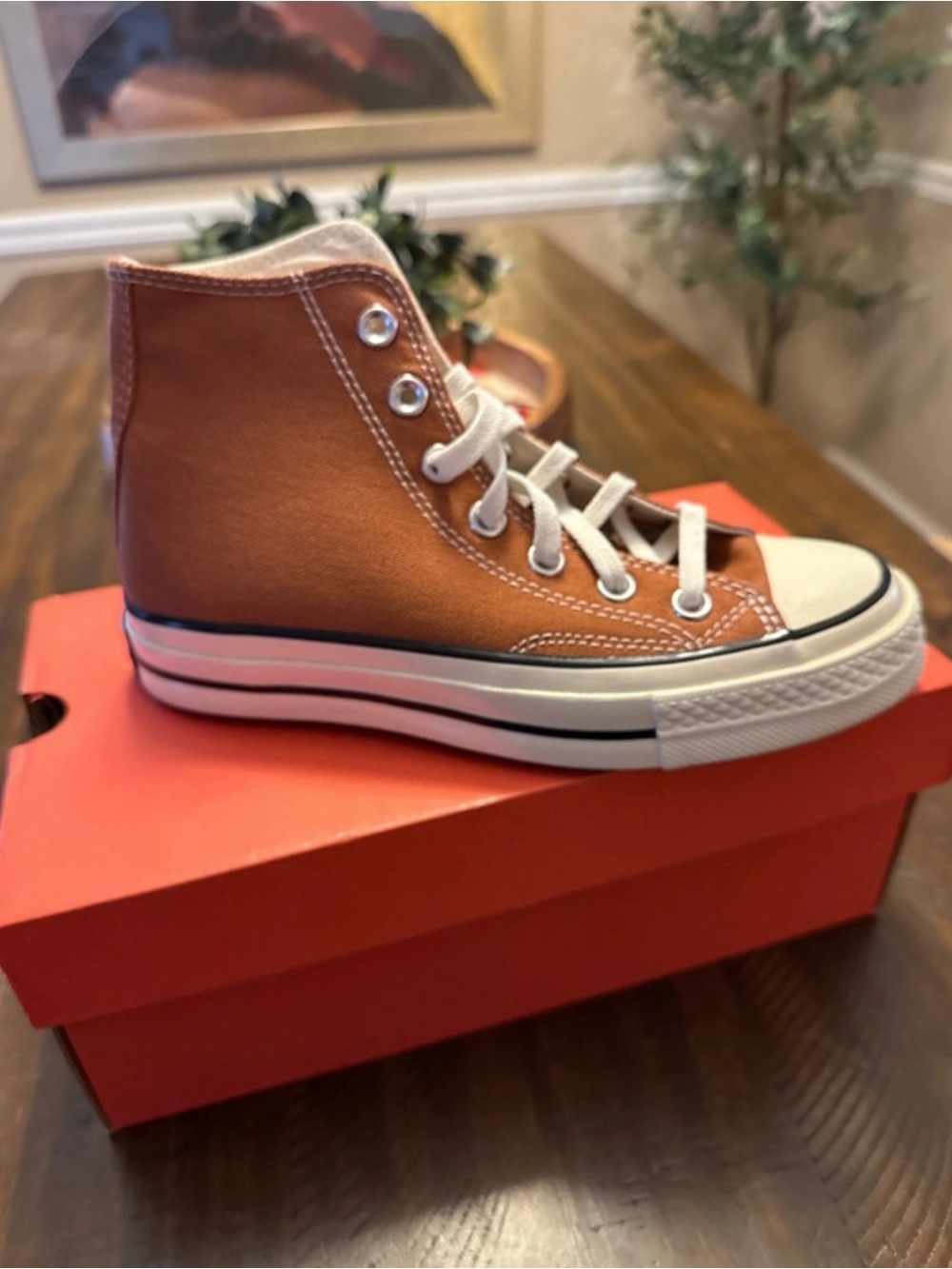High-Top Canvas Sneaker in Brown
